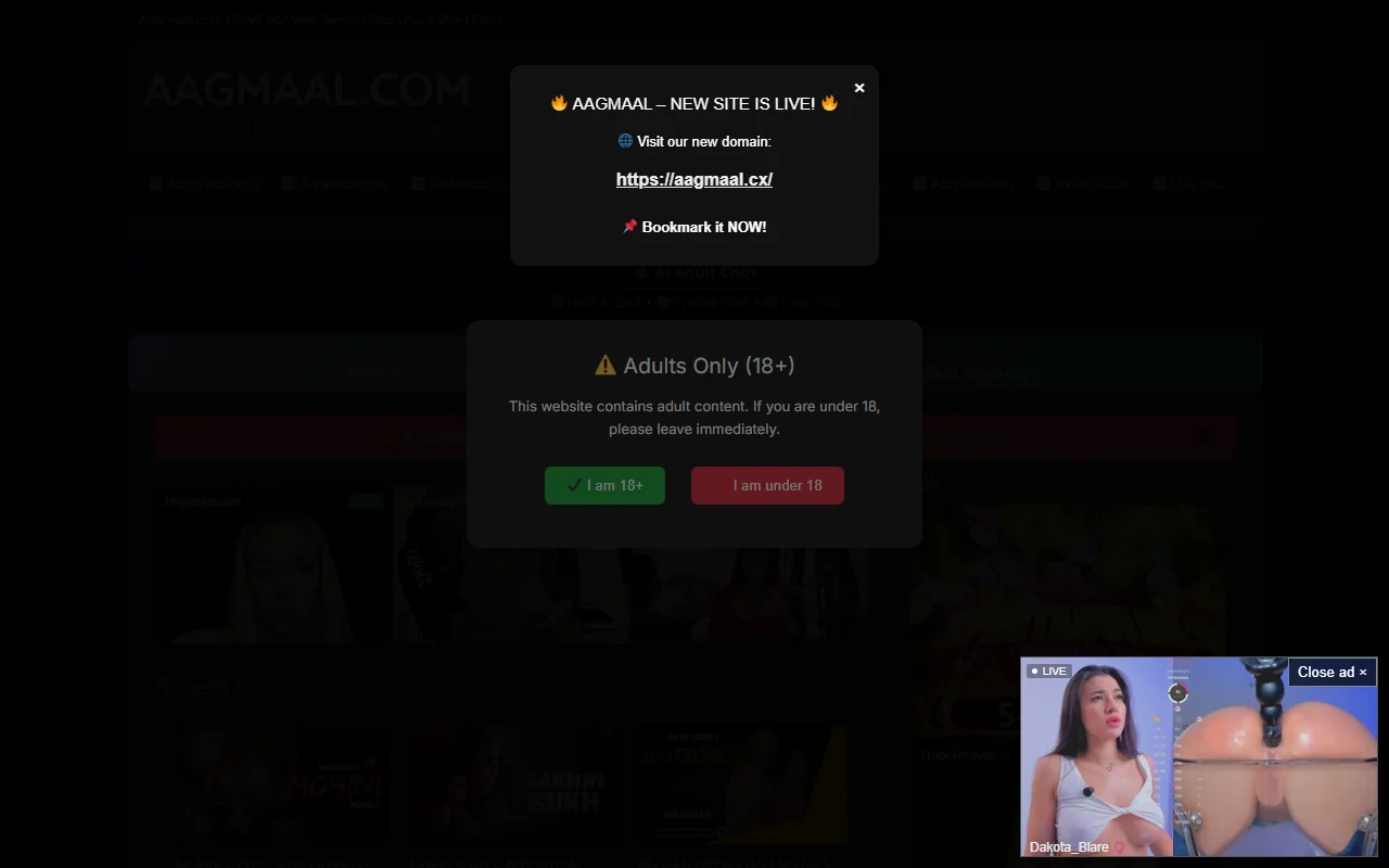 Screenshot: Aagmaal Screenshot of Aagmaal